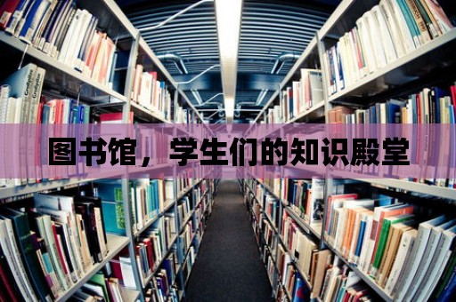 圖書館，學生們的知識殿堂