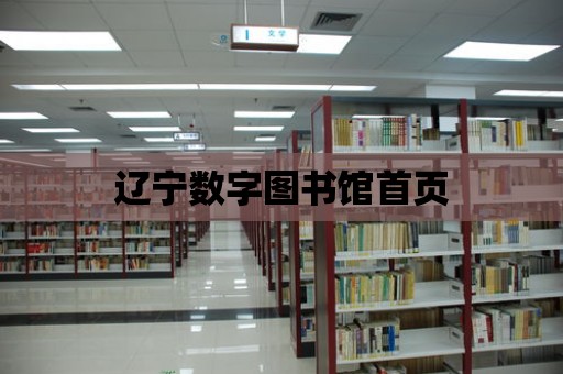 遼寧數(shù)字圖書館首頁