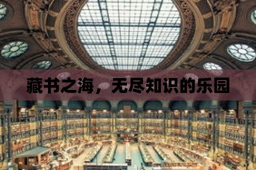 藏書之海，無盡知識的樂園