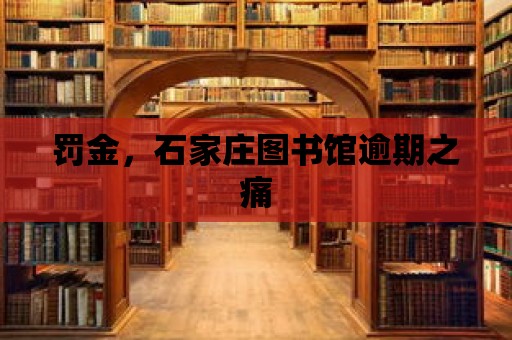 罰金，石家莊圖書館逾期之痛