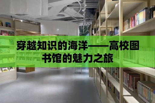 穿越知識的海洋——高校圖書館的魅力之旅