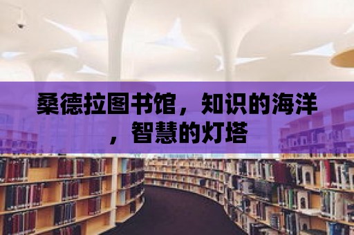 桑德拉圖書館，知識的海洋，智慧的燈塔