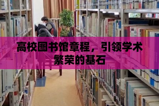 高校圖書館章程，引領(lǐng)學(xué)術(shù)繁榮的基石