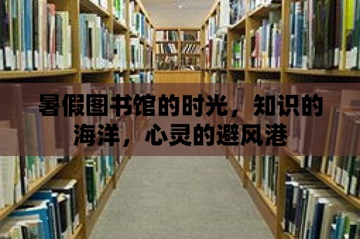 暑假圖書館的時光，知識的海洋，心靈的避風港