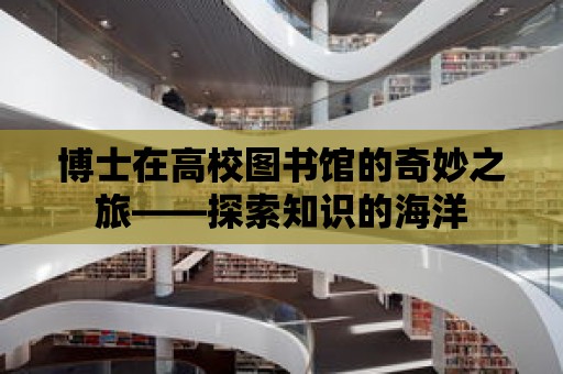 博士在高校圖書館的奇妙之旅——探索知識的海洋