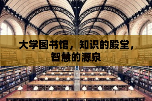 大學(xué)圖書館，知識(shí)的殿堂，智慧的源泉