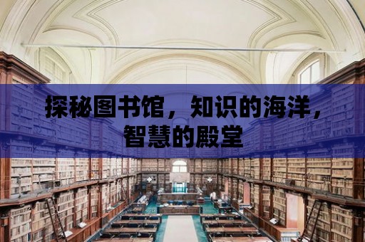 探秘圖書館，知識的海洋，智慧的殿堂