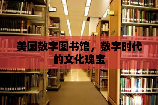 美國數字圖書館，數字時代的文化瑰寶