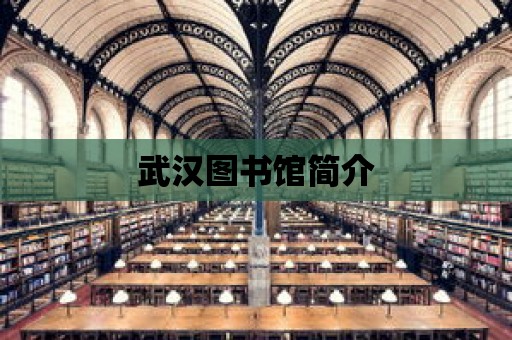 武漢圖書館簡介