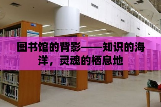 圖書館的背影——知識的海洋，靈魂的棲息地