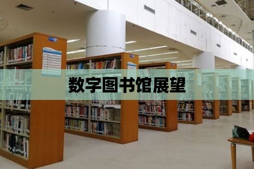 數字圖書館展望