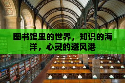 圖書館里的世界，知識的海洋，心靈的避風港