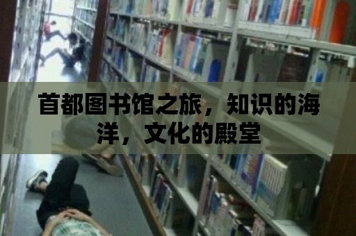 首都圖書館之旅，知識的海洋，文化的殿堂