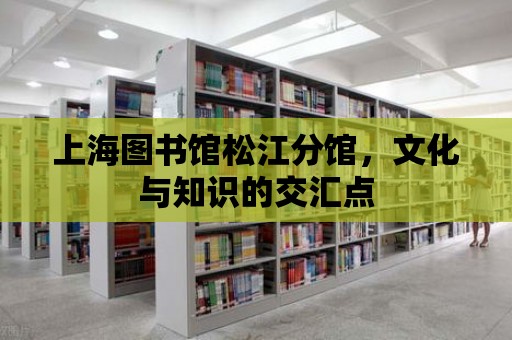 上海圖書館松江分館，文化與知識的交匯點