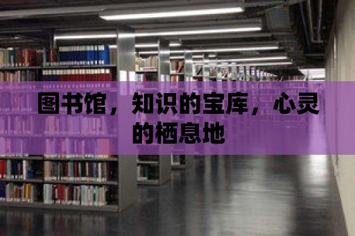 圖書館，知識的寶庫，心靈的棲息地