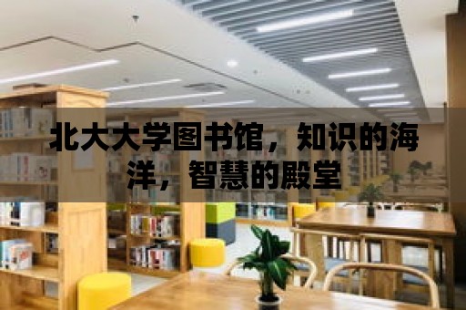 北大大學圖書館，知識的海洋，智慧的殿堂