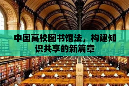 中國高校圖書館法，構建知識共享的新篇章