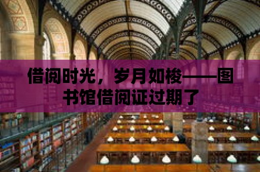 借閱時光，歲月如梭——圖書館借閱證過期了