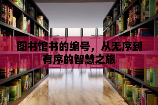 圖書(shū)館書(shū)的編號(hào)，從無(wú)序到有序的智慧之旅