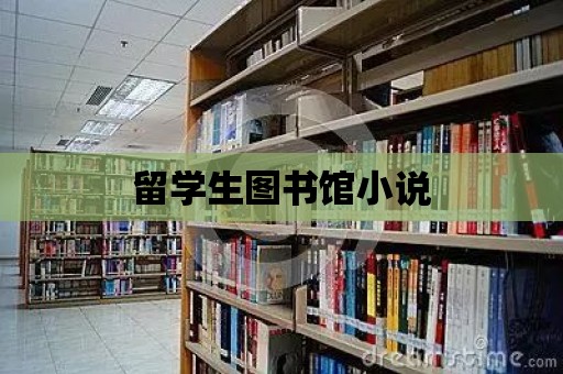 留學生圖書館小說