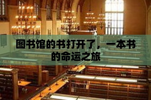 圖書館的書打開了，一本書的命運之旅