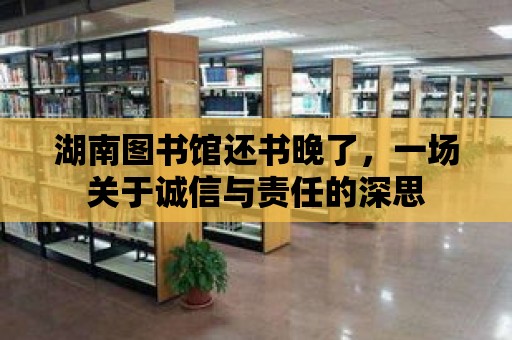 湖南圖書館還書晚了，一場關于誠信與責任的深思