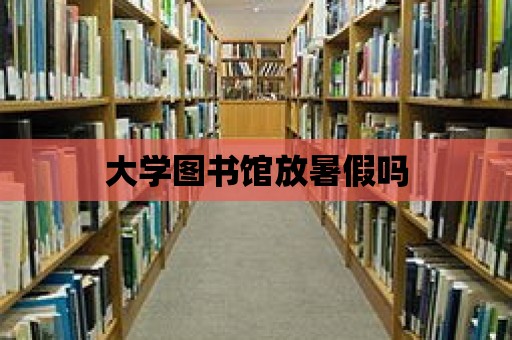 大學(xué)圖書館放暑假嗎