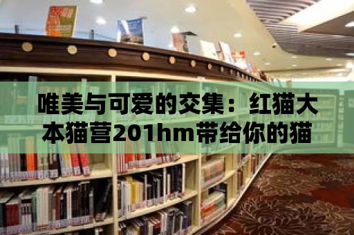 唯美與可愛的交集：紅貓大本貓營201hm帶給你的貓咪寵愛之旅