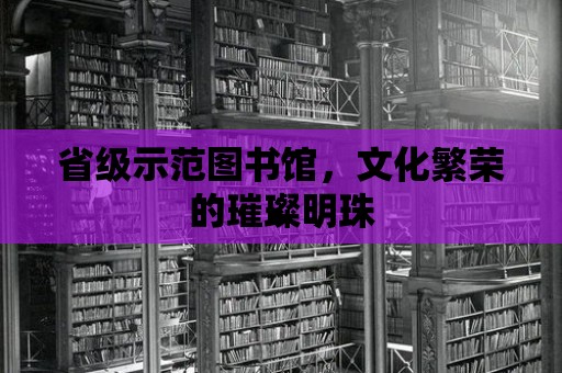 省級示范圖書館，文化繁榮的璀璨明珠