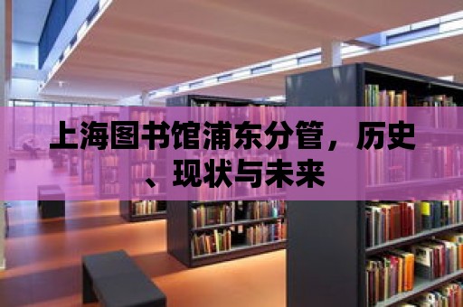 上海圖書館浦東分管，歷史、現狀與未來