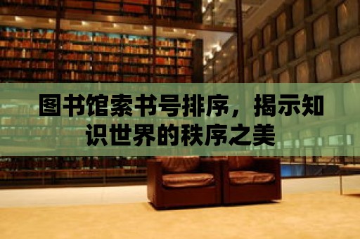 圖書館索書號排序，揭示知識世界的秩序之美