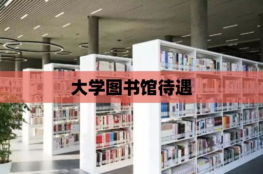 大學圖書館待遇