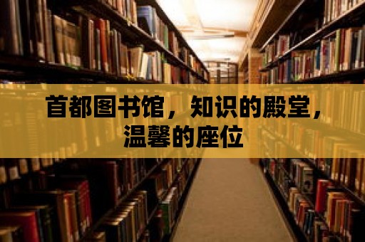 首都圖書館，知識的殿堂，溫馨的座位