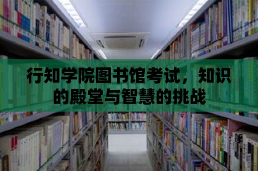 行知學(xué)院圖書館考試，知識的殿堂與智慧的挑戰(zhàn)