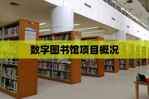 數字圖書館項目概況