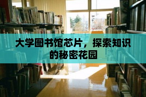 大學圖書館芯片，探索知識的秘密花園