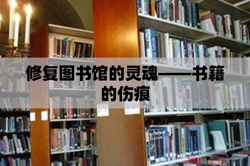 修復(fù)圖書館的靈魂——書籍的傷痕