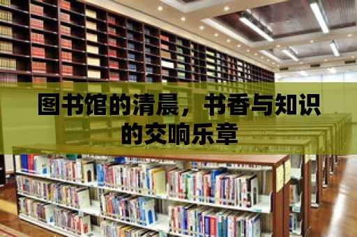 圖書館的清晨，書香與知識的交響樂章