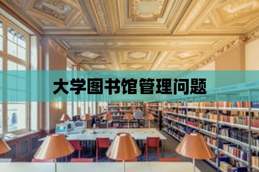 大學圖書館管理問題