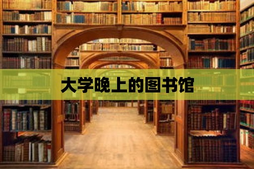 大學(xué)晚上的圖書館