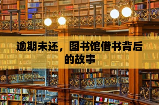 逾期未還，圖書館借書背后的故事