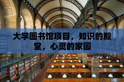 大學圖書館項目，知識的殿堂，心靈的家園