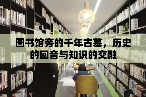 圖書館旁的千年古墓，歷史的回音與知識的交融