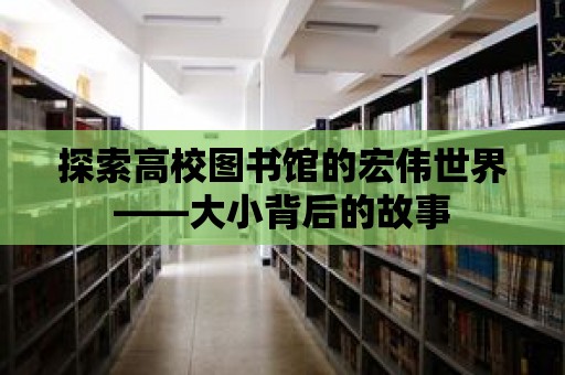 探索高校圖書館的宏偉世界——大小背后的故事