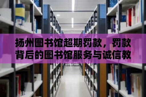 揚州圖書館超期罰款，罰款背后的圖書館服務與誠信教育