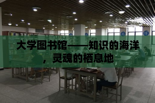 大學圖書館——知識的海洋，靈魂的棲息地