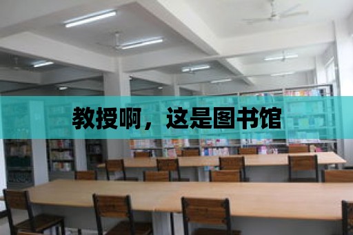 教授啊，這是圖書館