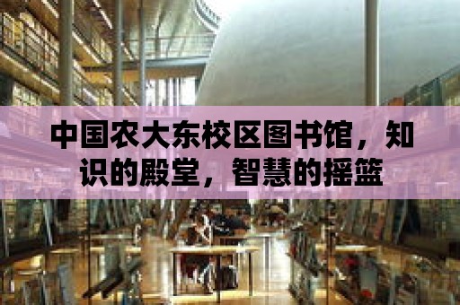 中國農大東校區圖書館，知識的殿堂，智慧的搖籃