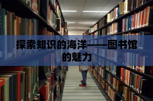 探索知識(shí)的海洋——圖書(shū)館的魅力