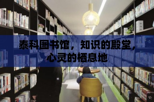 泰科圖書館，知識(shí)的殿堂，心靈的棲息地